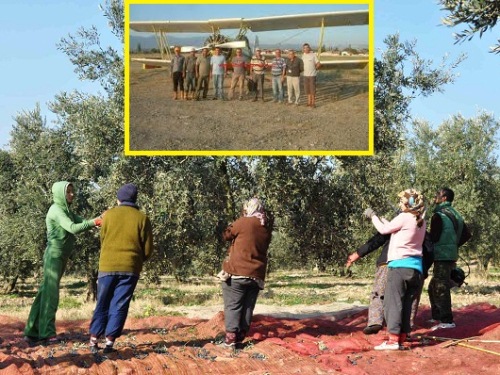 Zeytinle mücadelede, Uçak ihalesi yapıldı