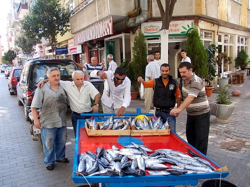 Palamut imdada yetişti