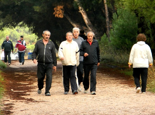 General Balcı Çamlığı`na vatandaş makyajı