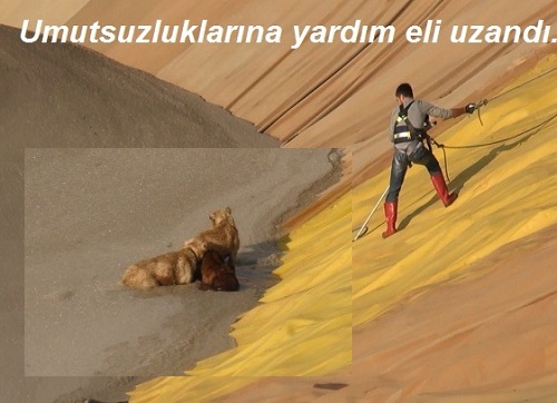 Hayat Memat meselesi