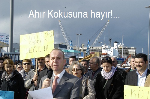 Angus gemisine tepki