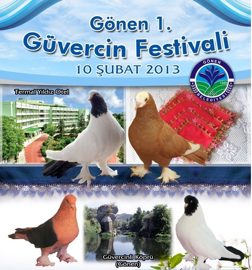Festivale İlgi Büyük