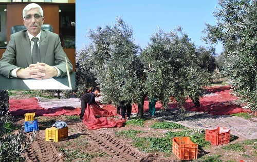 Marmarabirlik gübre dağıtıyor