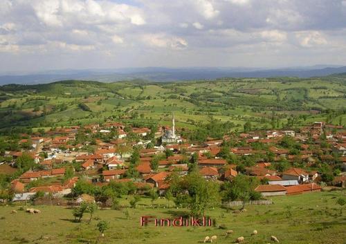 85 Hanelik köyden 85 şehit