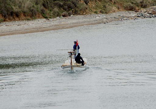 Umutlar boşa çıktı