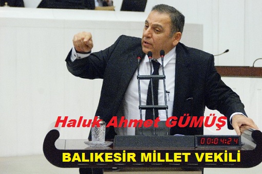 Gümüş, TBMM konuştu.
