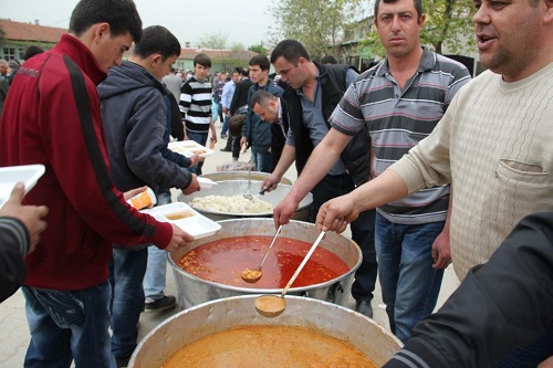 Doğa`da kutlu doğum coşkusu