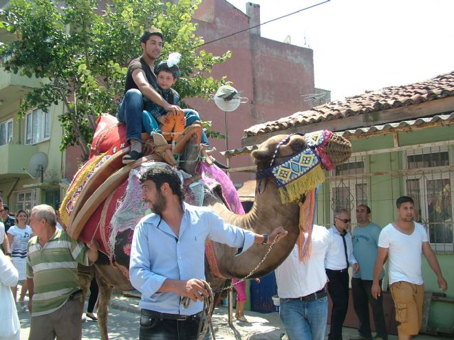 Festival gibi sünnet
