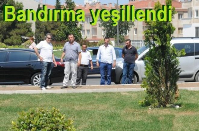 Bandırma Yem, yeşil