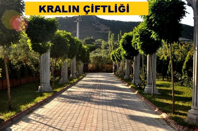 Ağrigento`dan antrenman sahası