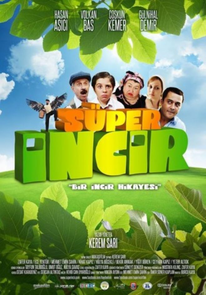 SÜPER İNCİR VİZYONDA