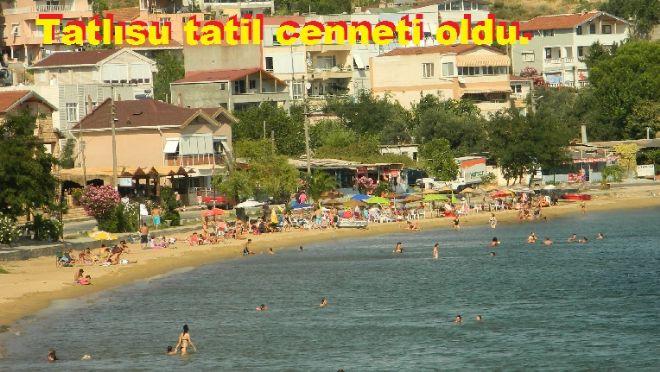 Tatlısu, Palet 79 ile canlandı