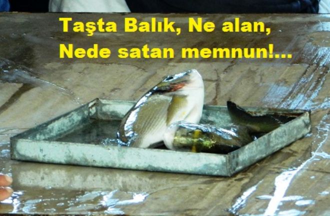Amatör Balıkçı umduğunu bulamıyor