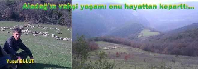 Yusuf Bulut, vahşi yaşam kurbanı