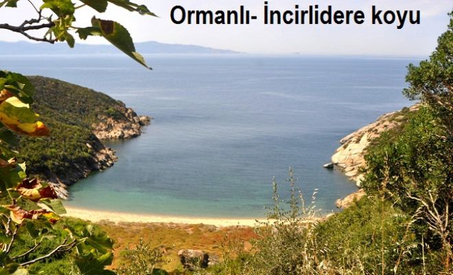 Ormanlı