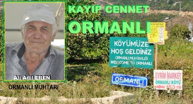 Ormanlı, Unutulmuşlukların arka bahçesi