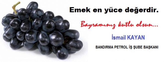 İsmail KAYAN