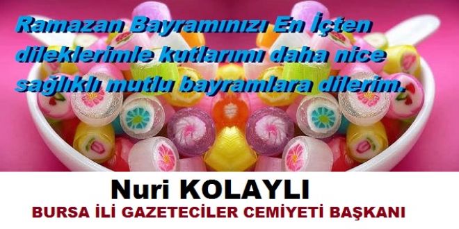 Nuri KOLAYLI