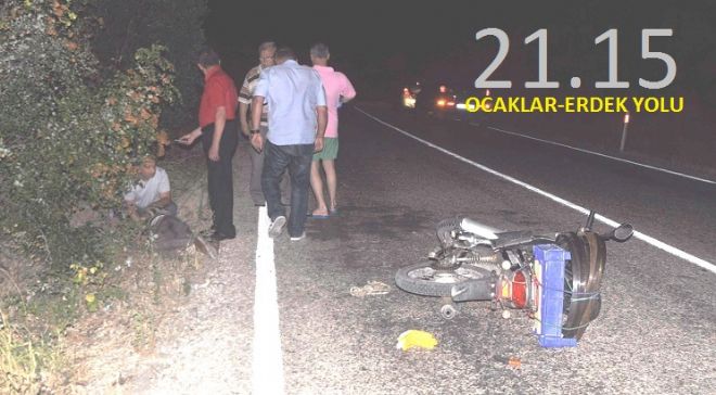 Yol kenarında bulundu