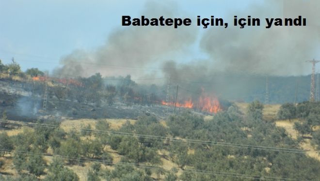 Erdek`te güz yangını