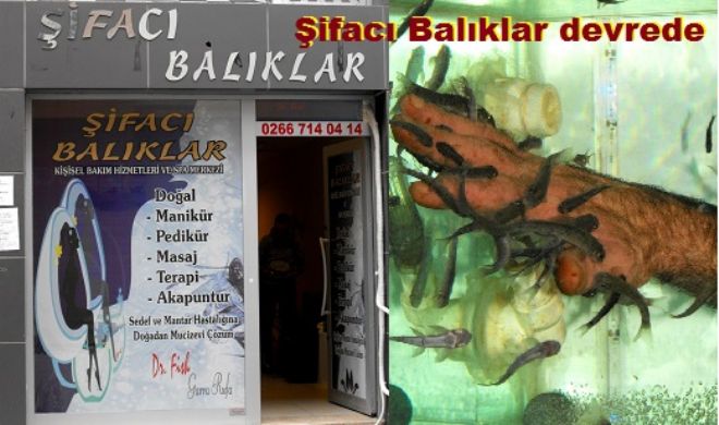 Şifacı Balıklar Bandırma`da