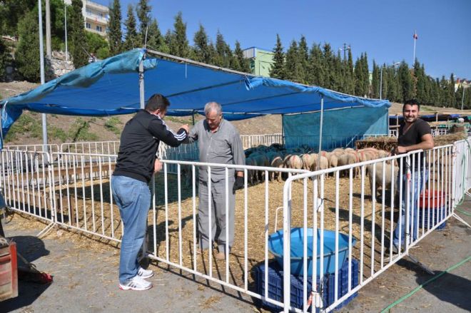 Erdek`te kurban pazarı
