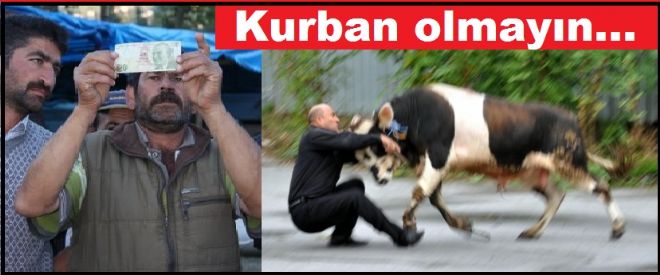 Kurban siz olmayın!...