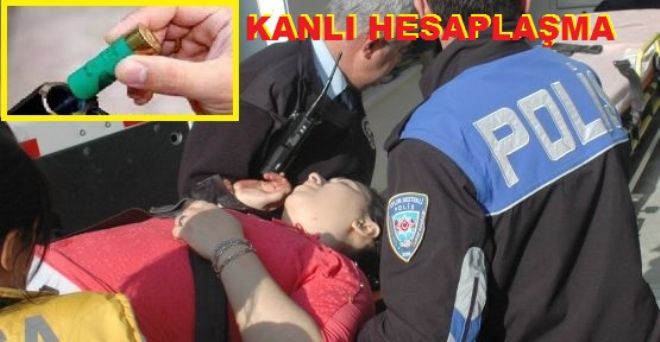 Teksas gibi