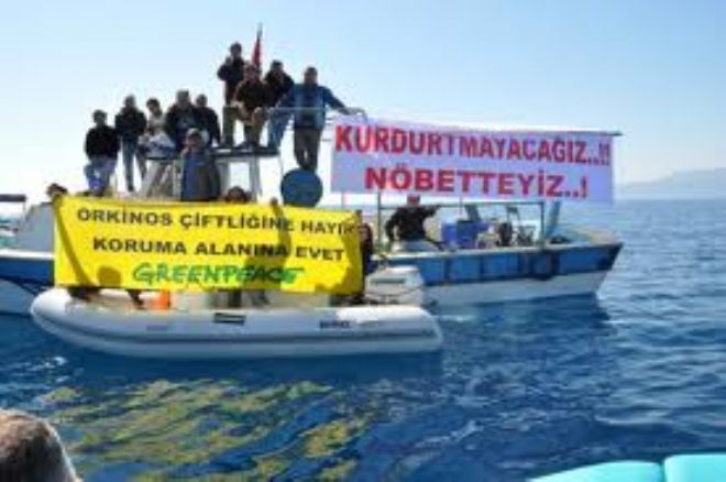 Orkinos avcılarına rekor ceza