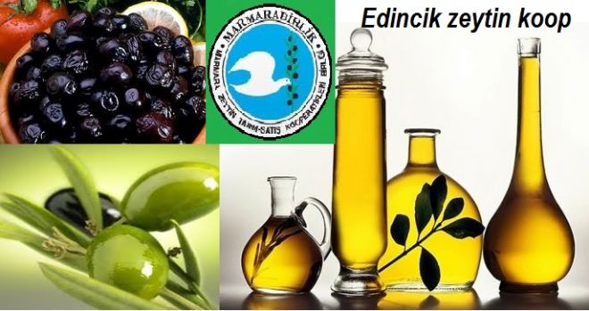 Edincik zeytin koop.