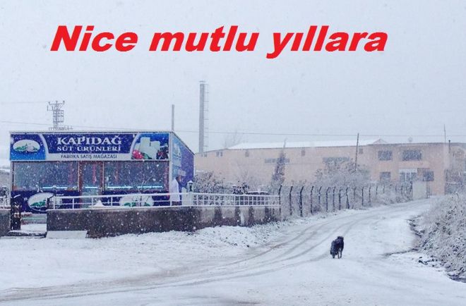Kapıdağ süt ürünleri