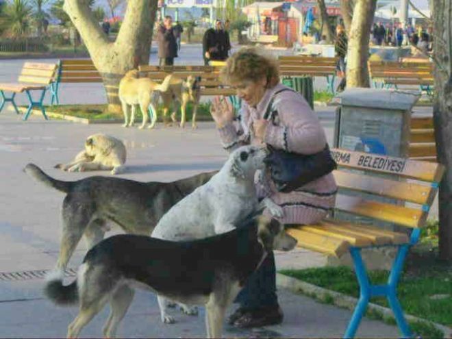 Cumhuriyet meydanı manzaraları