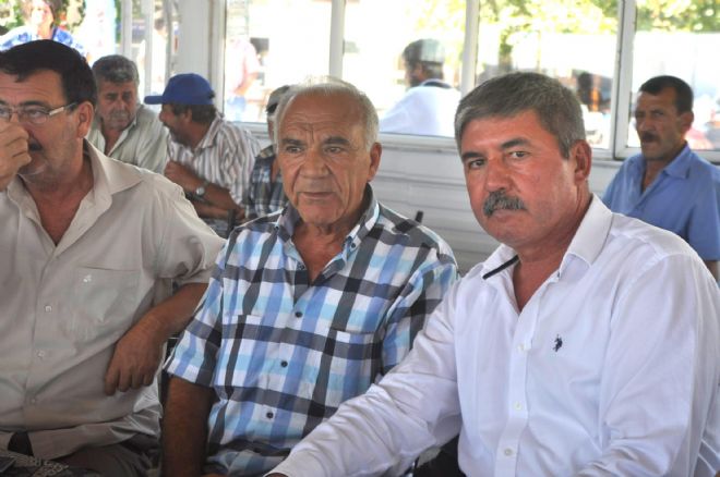 Havutça, takip ediyor
