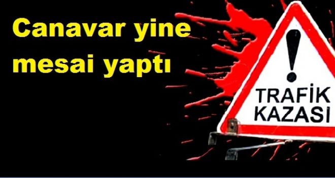 Canavar viyadük`te yakaladı