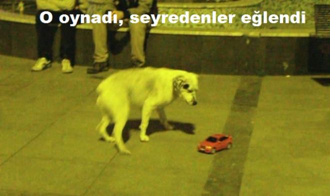 O oynadı, seyredenler eğlendi