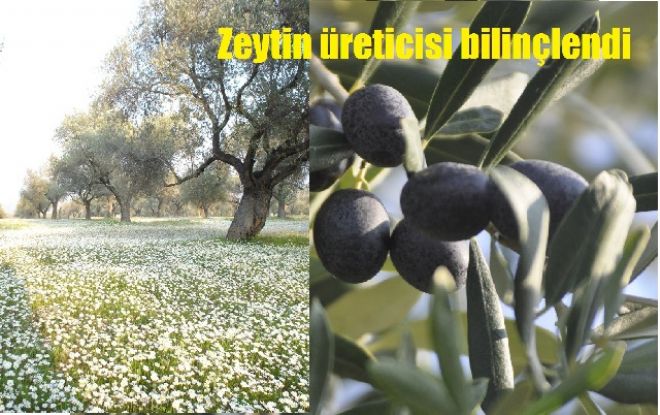 Zeytin üreticisine seminer