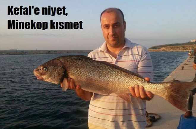 Balıkçı barınağında yakalandı