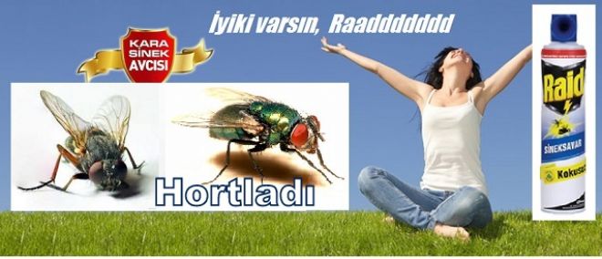 Bandırma`yı Kara Sinek, Erdek`i dalga vurdu.