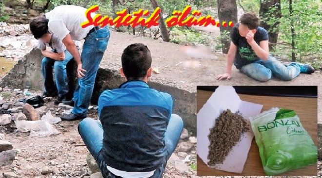 Bonzai ihbarına ödül
