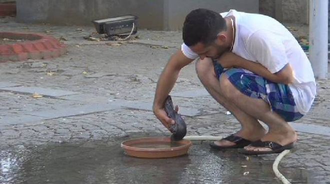 Güvercinlerin mekanı oldu.