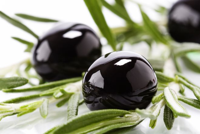 Erdek Zeytin Kooperatifi Projesi İhale Yapıldı