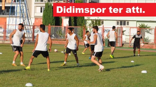 Erdekspor tesislerde, Didim Polem