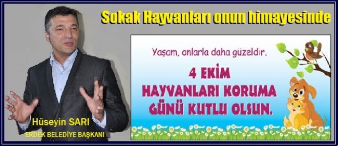 Sokak Hayvanları için buluştular