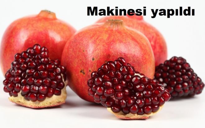  Nar`ın gizemi de çözüldü