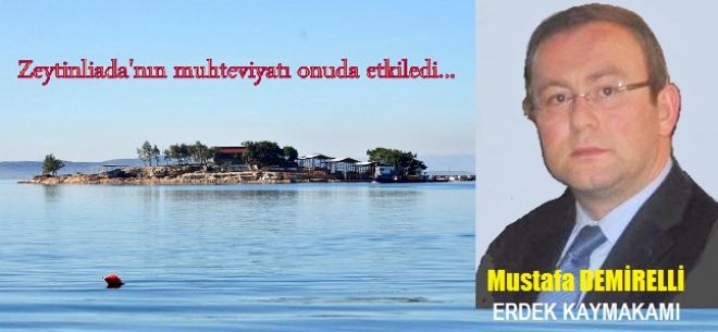 İlk ziyaret Zeytinliada