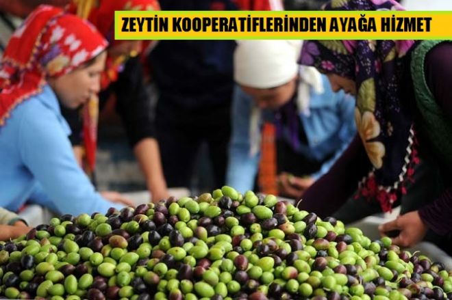 Kampanyaya hız verildi.