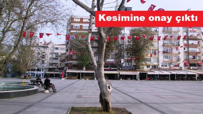 Alandaki ağaca kesim onayı