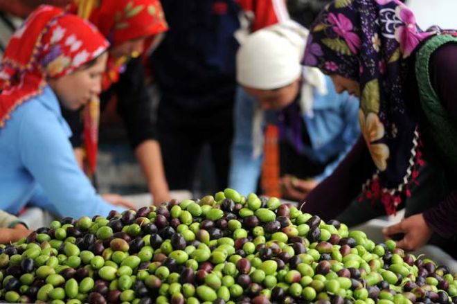 Kampanya 9 Ocak`ta bitiyor.