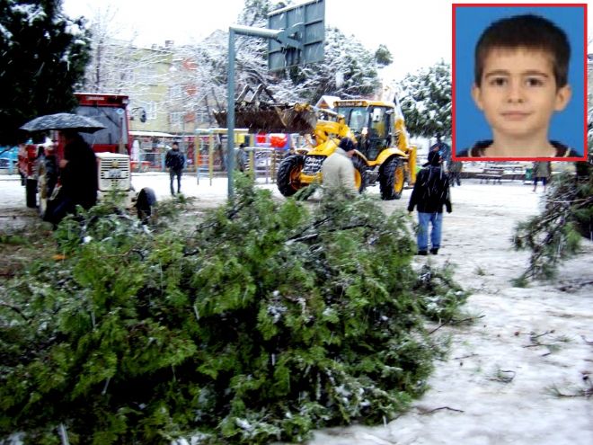 AĞAÇ ÖĞRENCİNİN ÜZERİNE DÜŞTÜ