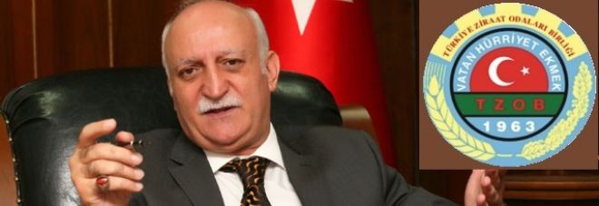 Bayraktar: 